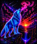 Howl At The Moon Black Tee Shirt